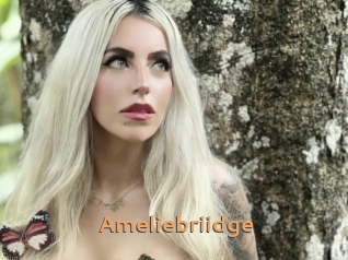 Ameliebriidge