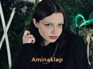 Aminaklep