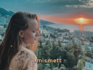 Amismett