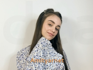 Amityarnet