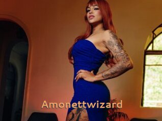 Amonettwizard