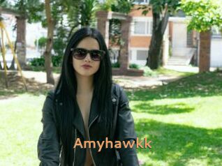 Amyhawkk