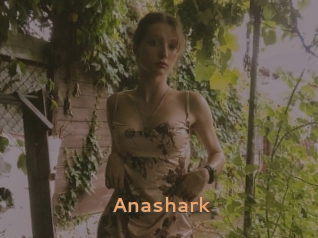 Anashark