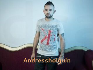 Andressholguin