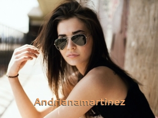 Andrianamartinez