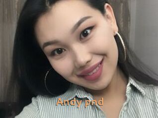 Andy_pnd