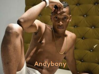 Andybony