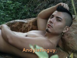 Andylatinguy