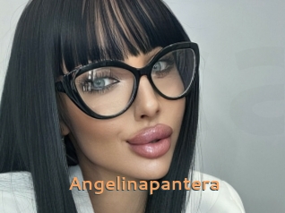 Angelinapantera