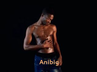 Anibig