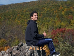 Anis66