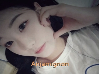 Anjamignon