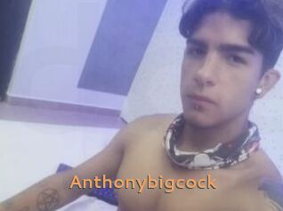 Anthonybigcock