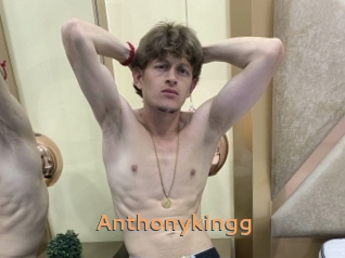 anthonykingg Du Cul A Gogo