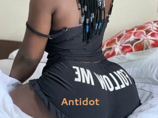 antidot Du Cul A Gogo