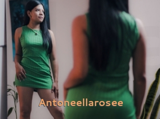 Antoneellarosee