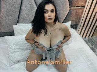 Antonelamiller