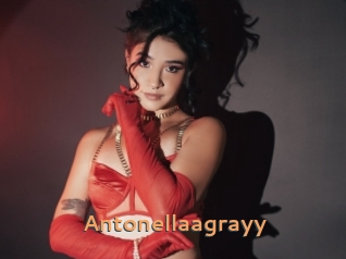 Antonellaagrayy