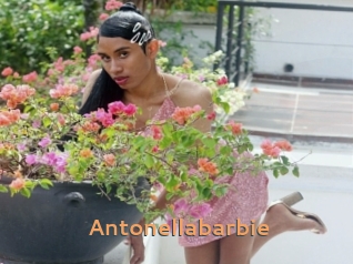 Antonellabarbie