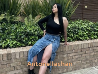 Antonellachan