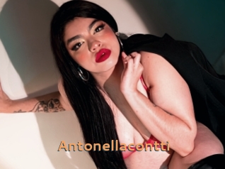 Antonellacontti