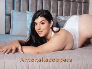 Antonellacoopers
