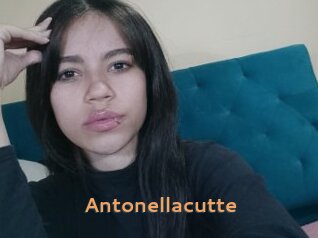 Antonellacutte
