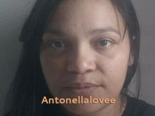 Antonellalovee