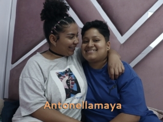 Antonellamaya