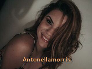 Antonellamorris