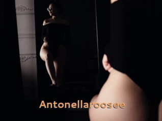 Antonellaroosee
