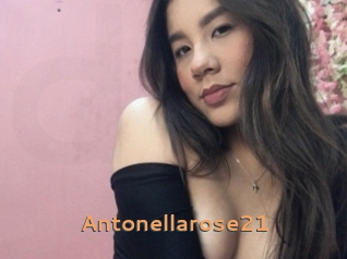 Antonellarose21