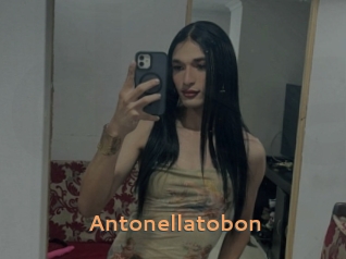 Antonellatobon