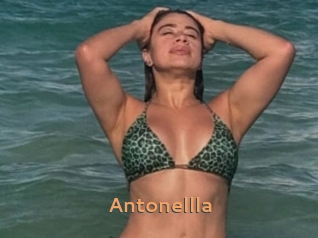 Antonellla