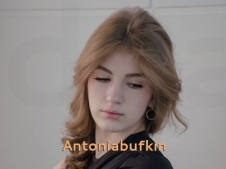 Antoniabufkin