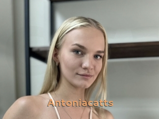Antoniacatts