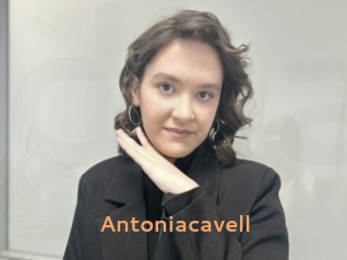Antoniacavell