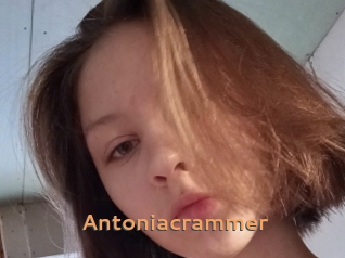 Antoniacrammer