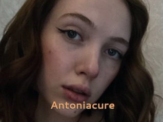 Antoniacure