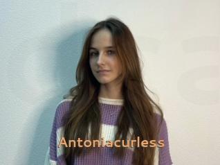 Antoniacurless