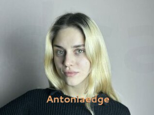 Antoniaedge