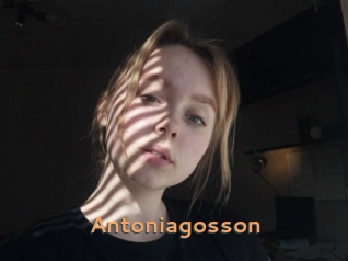 Antoniagosson