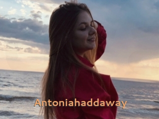 Antoniahaddaway