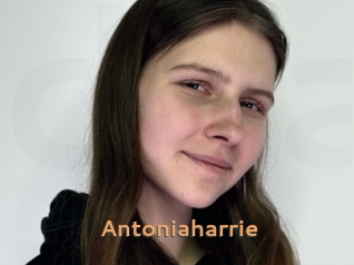 antoniaharrie Du Cul A Gogo