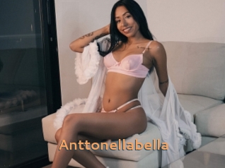 Anttonellabella