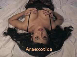 araexotica Du Cul A Gogo
