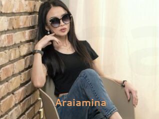 Araiamina