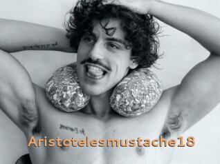 Aristotelesmustache18