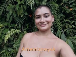 Artemiznayak