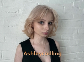Ashleycodling